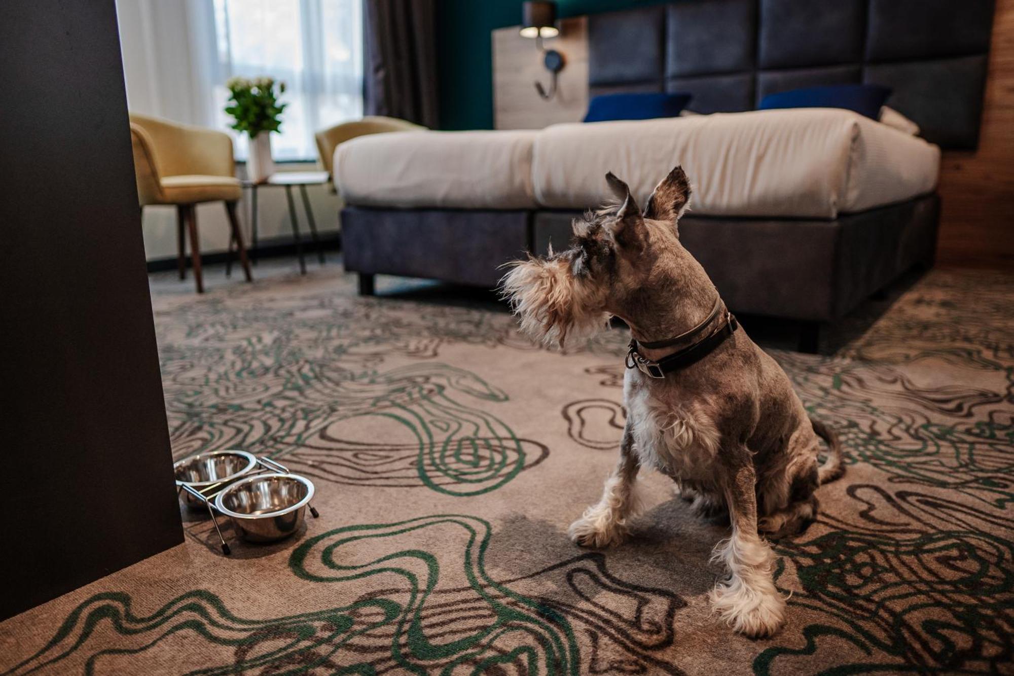 Hotel Kyriad Stargard Stargard Szczeciński Buitenkant foto